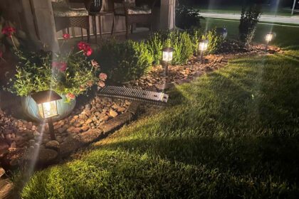 Solar Lights for Plants